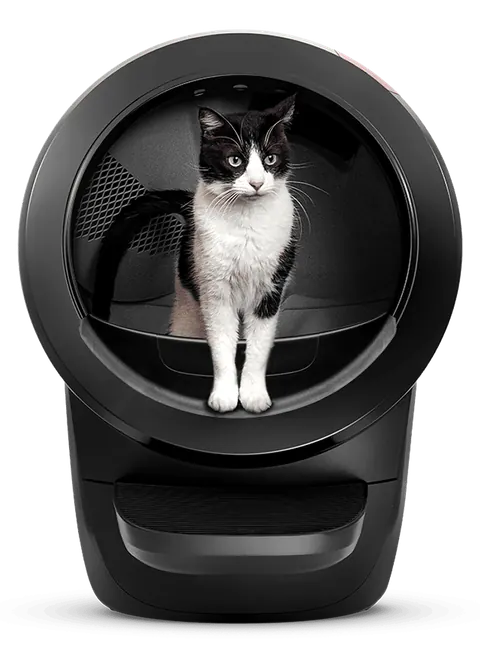 Cat using a Litter-Robot 4, manufacturer product photograph