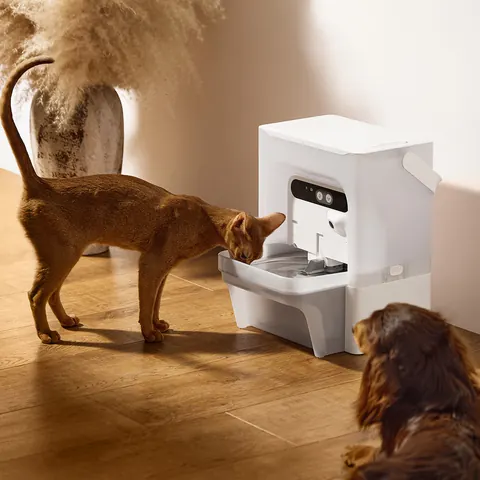Cat and dog beside a PETKIT EverSweet Ultra fountain, manufacturer photograph
