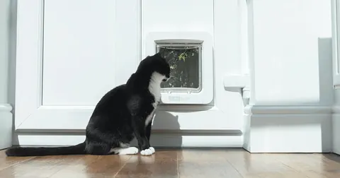 Sure Petcare SureFlap Microchip Pet Door Connect, manufacturer product image